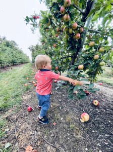 Toddler next to an apple tree