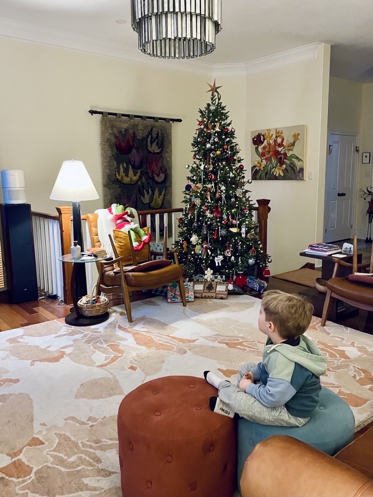 Preschool boy sitting in a living room in front of Christmas tree